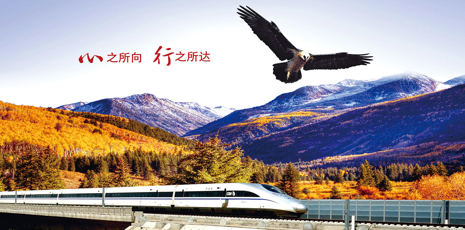 專(zhuān)業(yè)、專(zhuān)注、創(chuàng)新、創(chuàng)造、智能、高效